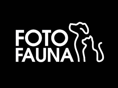 logotipas FOTO FAUNA / 2020 /